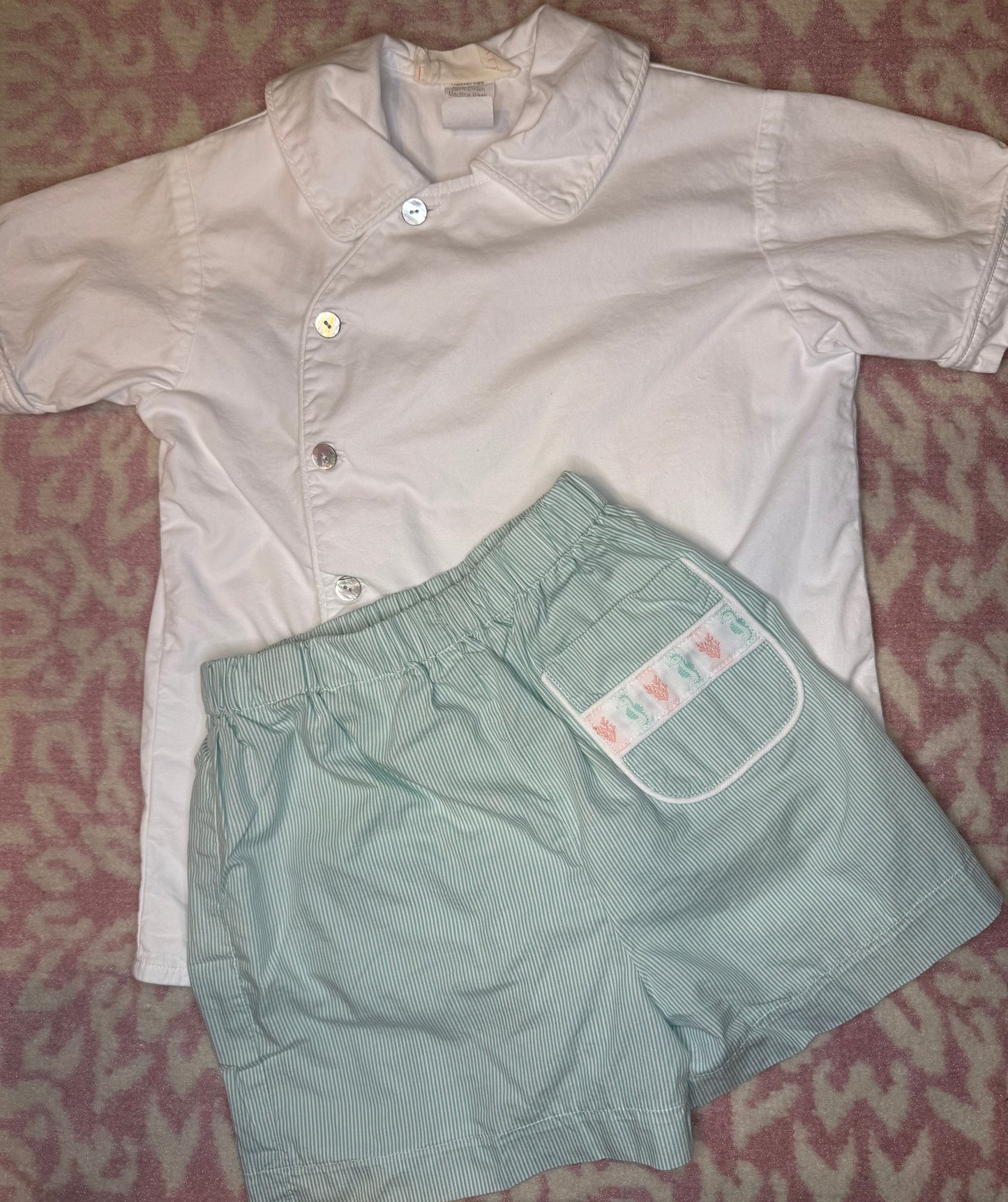 Sz 5 Hannah Kate + PBJ Seahorse + Coral Ribbon Short Set