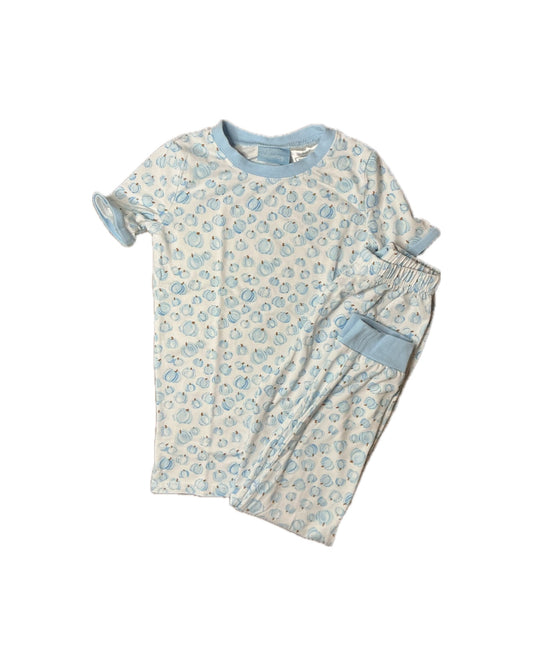 Boy 5 Classic Whimsy Little Pumpkin Patch Blue Pajamas