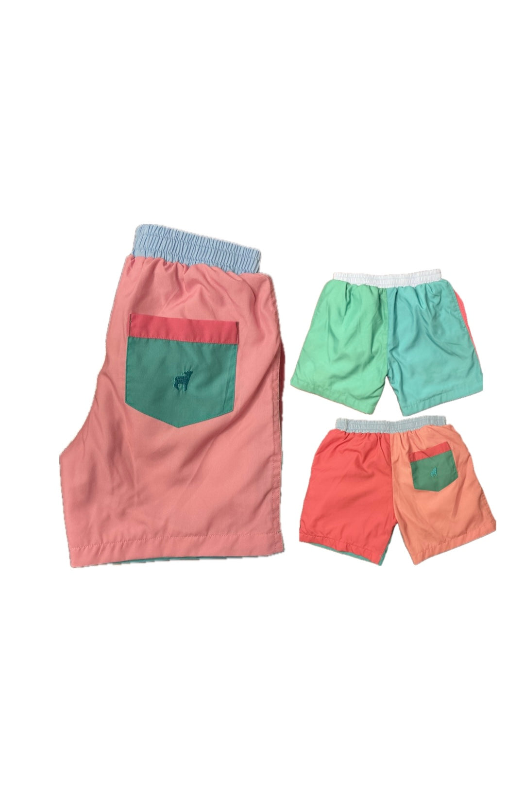 8 Little Lamb Colorful Short