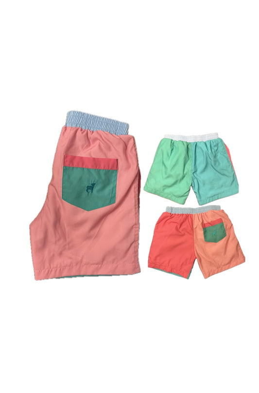 8 Little Lamb Colorful Short