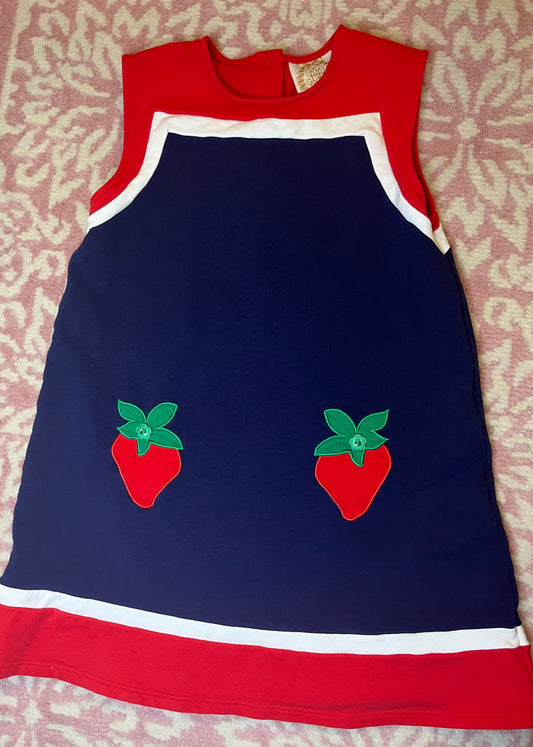 Sz 7 TBBC Retro Strawberry Dress