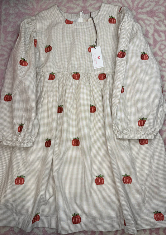 Sz 7 Pink Chicken Pumpkin LS Dress