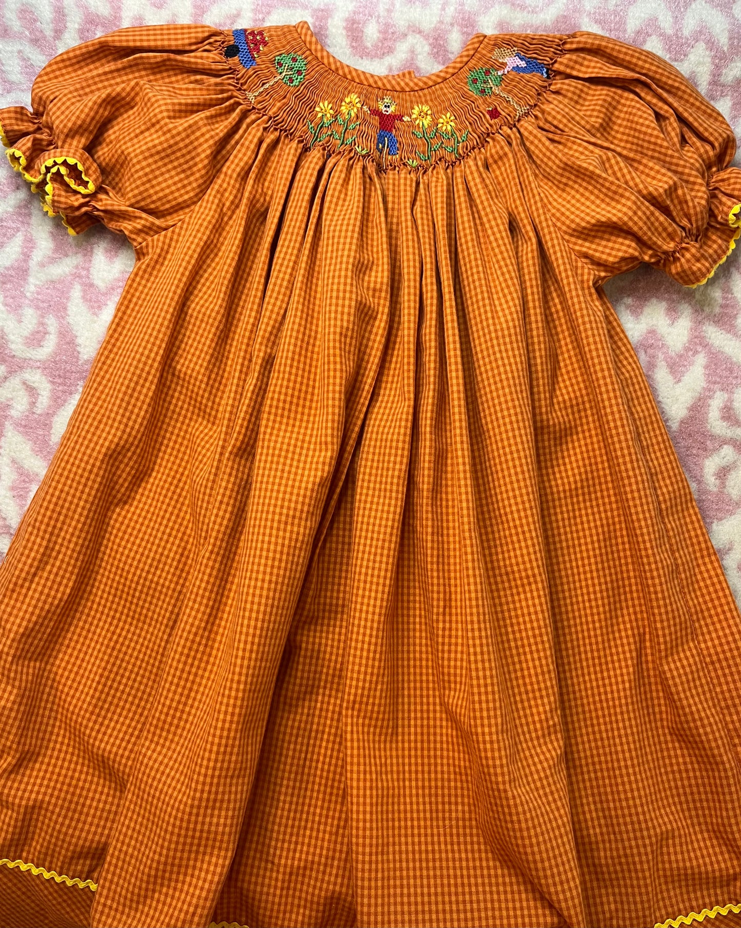 Sz 2 Silly Goose Harvest Smocked Dress