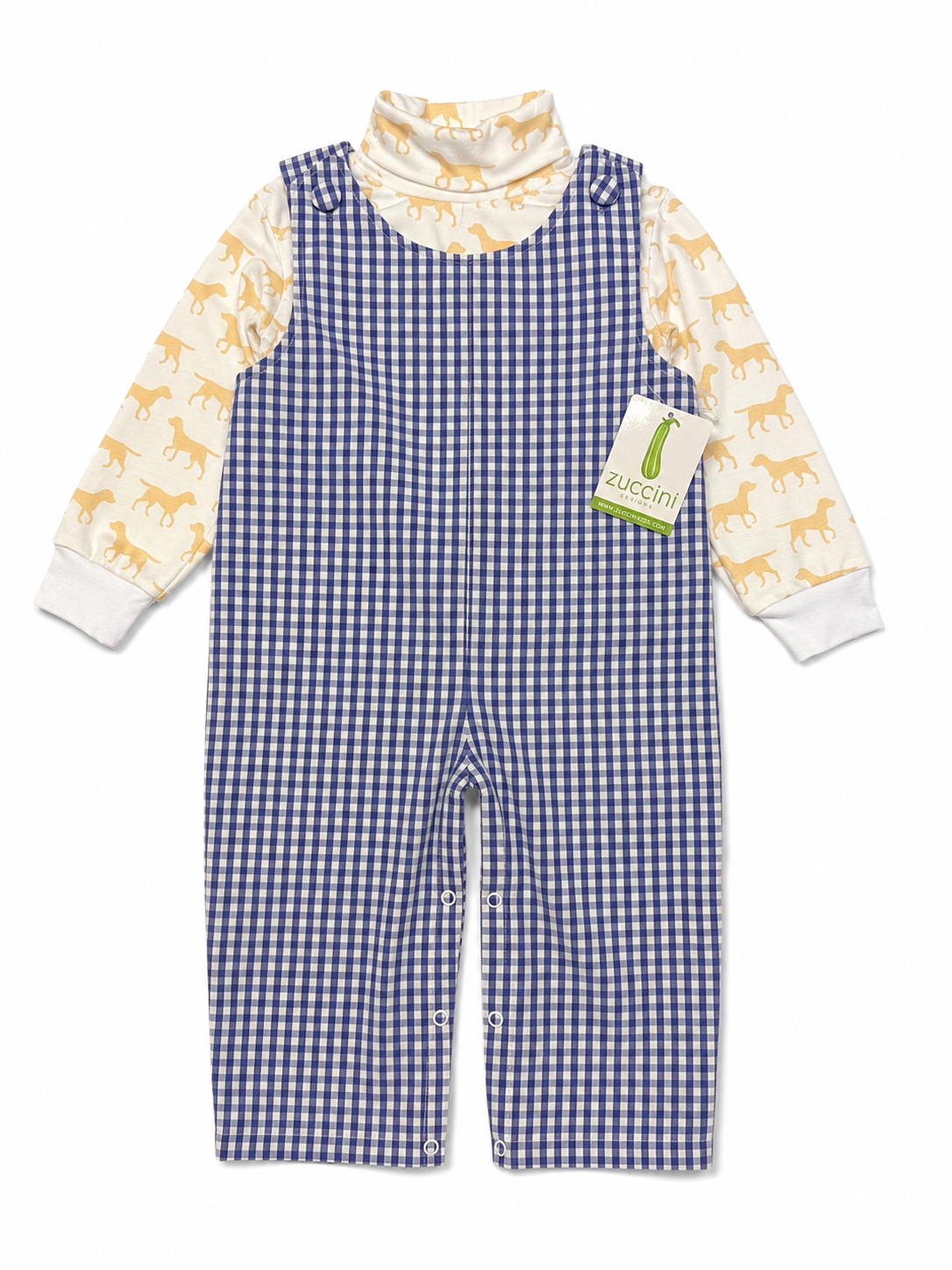 2T Zuccini Royal Blue Gingham Longall + New Stitchy Fish Puppy Turtleneck