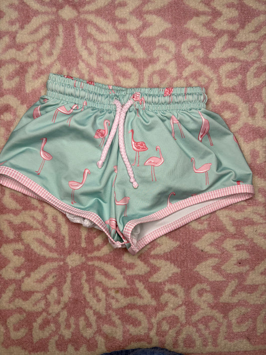 12M James & Lottie Flamingo Swim Trunk