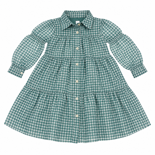 8/10 The Mint Girls Green Gingham LS Dress