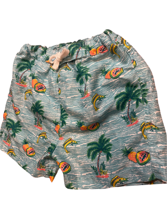 Sz 2T Rachel Riley Paradise Swim Trunks