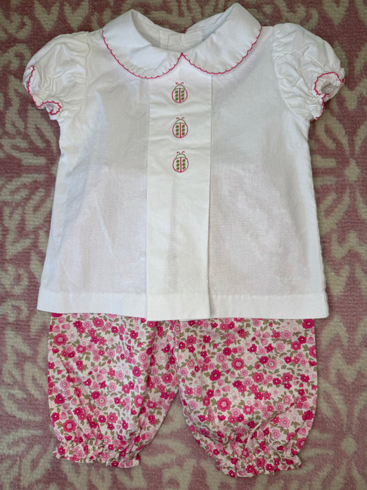 6M Bailey Boys Ladybug Pant Set