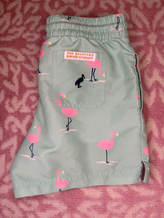 Sz 7 TBBC Tortola Swim Trunk - Flarda Flamingo