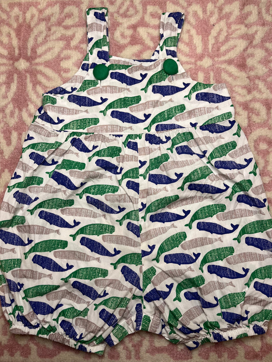 Sz 2T Hannah Kate Shortall in Whale