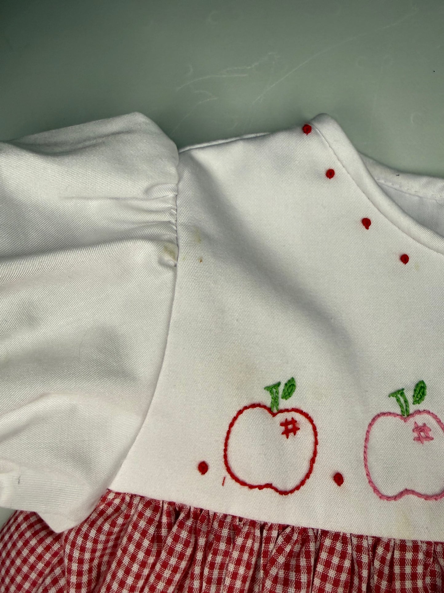 4T The Proper Peony Apple Gingham Dress